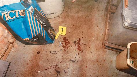 alex murdaugh crime scene pictures|Photo Gallery: See evidence photos from Alex。